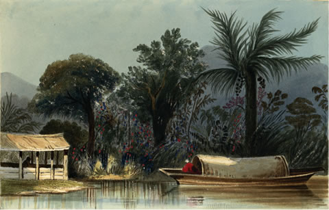 El Cienega